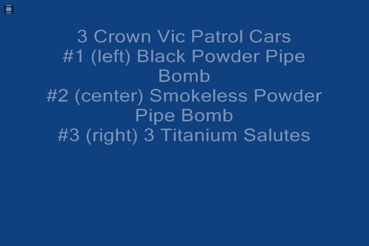 3 Crown Vics